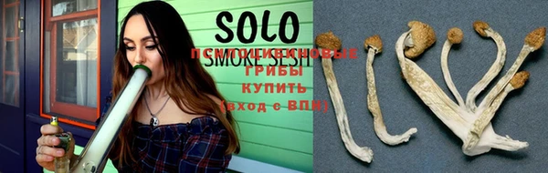 a pvp Белокуриха